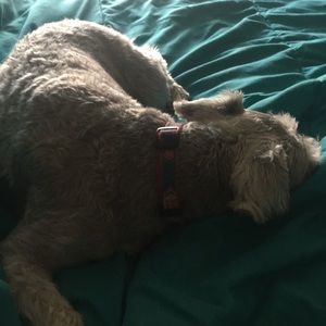 Meet your Posher, Tracie